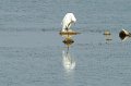 21.10.2012 Saline di Priolo (174)